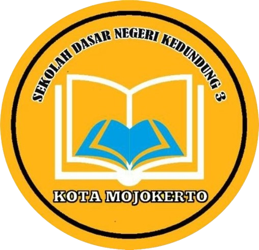 SDN KEDUNDUNG 3
