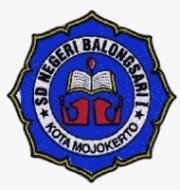 SDN BALONGSARI 1
